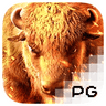Buffalo Win ícone